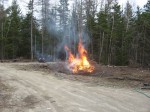burn burning brush