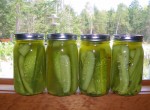 ball-dills ball kosher dill pickle recipe