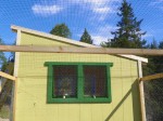 Deer netting installed overhead - to be replaced with chicken wire down the road