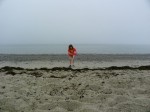 july4-1 Roque Bluffs State Park Maine