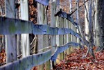 fall-fence