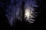 maple-sugar-moon maple sugar moon