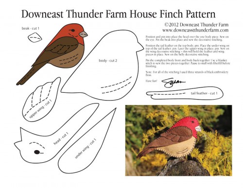 Friendly House Finch  Downeast Thunder Farm