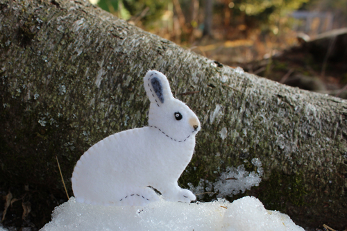 Snowshoe hare pattern