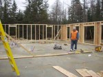 framing the house