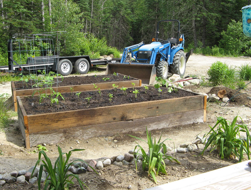 Raised Veggie Beds – Better Late Than Never