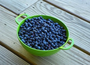 blueberries