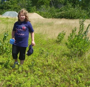 picking berries