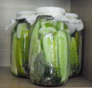 homemade dill pickles