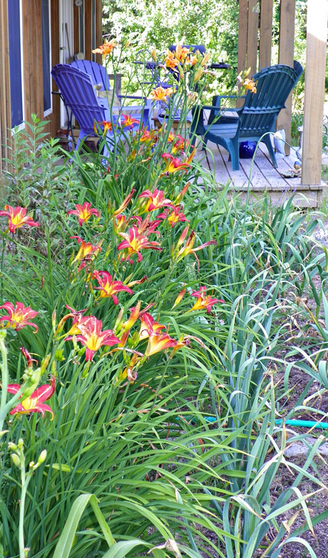 Hand-Me-Down Flowers