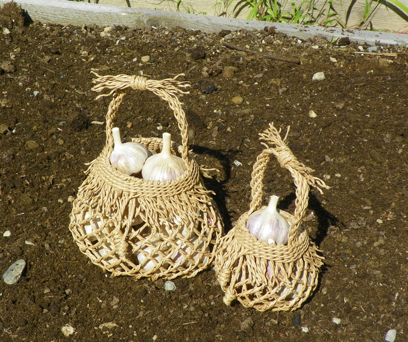 I made Garlic Baskets!