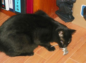 the mouser