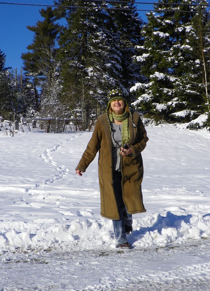 In Search of Snowy Fences