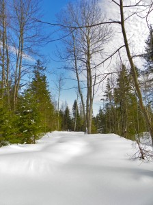 snowy vista