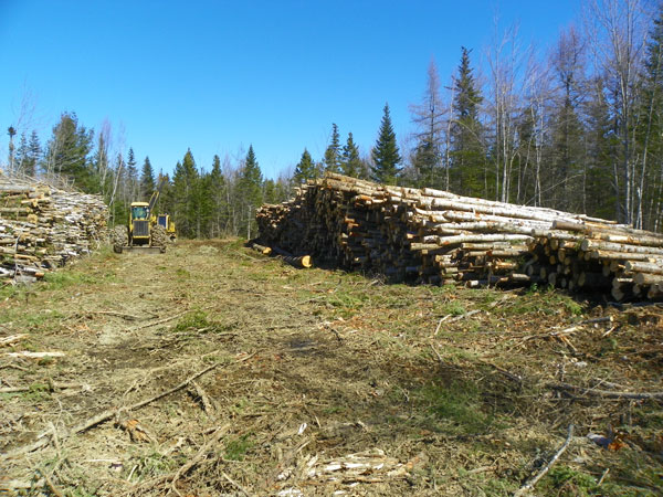 A Muddy Logging Operation