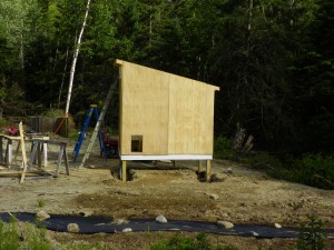 Chicken door cut out of the sheathing