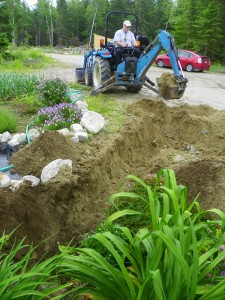 digging through my flower garden