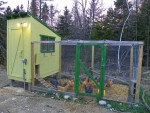 Floodlights Outside Chicken Coop