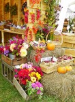 More fall colors at the Common Ground Fair