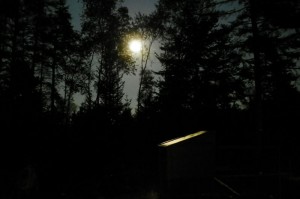 full moon over the chicken coop