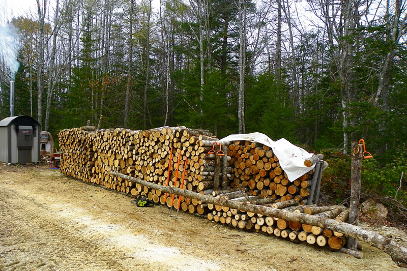 Cutting Wood in the Calm Before the Storm Cutting Wood in the Calm Before the Storm
