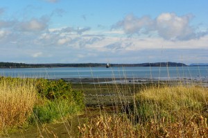 View from South Lubec Road