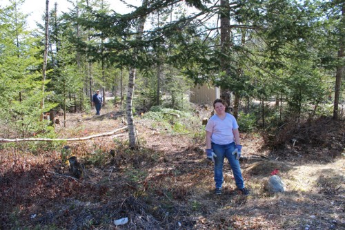 Clearing out for the duck pond