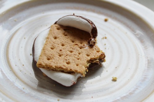 A half eaten Nutella S'more