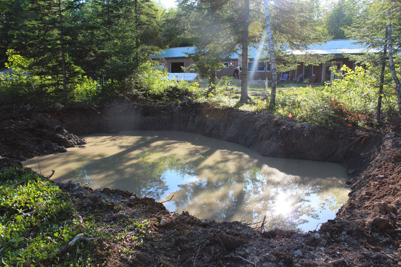 Pond Progress