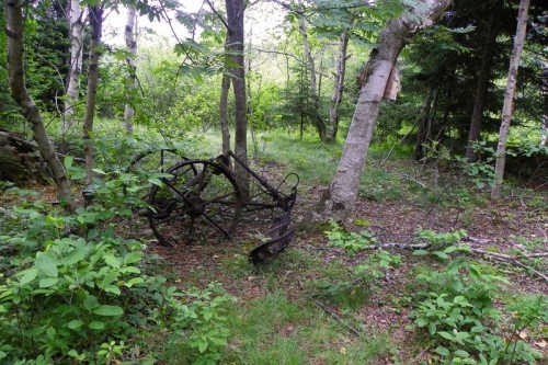 Ancient abandoned mower contraption