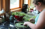 Hannah helping to harvest and dry marjoram