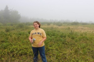 picking blueberries in the mist