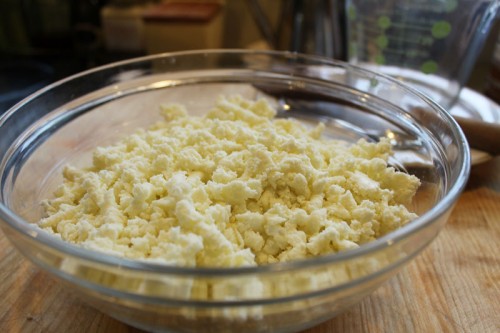 grated homemade mozzarella cheese