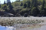 Hannah on the rocky beach