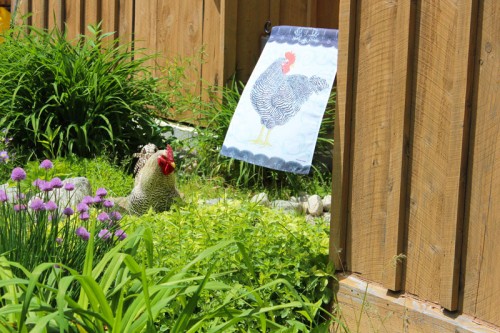 Kitchen herb garden