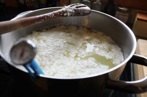 making mozzarella