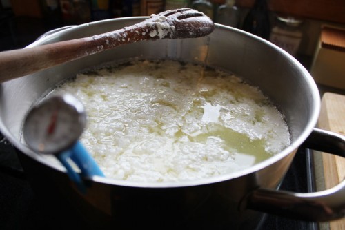 making mozzarella