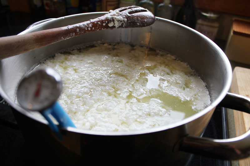 Making Mozzarella