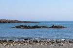 20+ seals sunning on the rocks