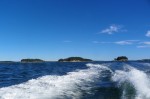 Douglas Islands in Narraguagus Bay