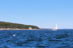 sail boat in front of Narraguagus Light