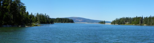 View of Cadillac Mountain from Schoodic