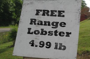 free range lobster