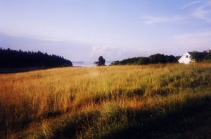 Isle au Haut by Hannah Bennett