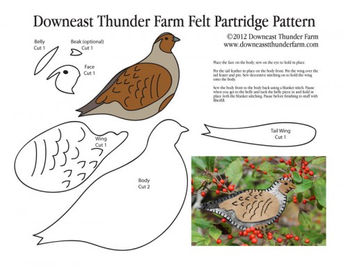 Partridge Pattern