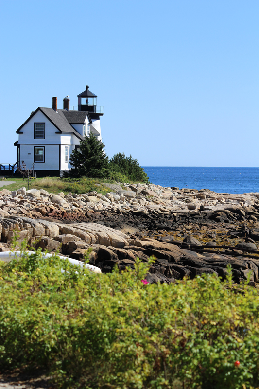 Schoodic Point Picnic