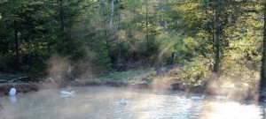 Sea Smoke on the Pond