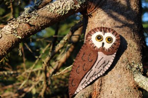 Northern Saw-whet Owl Felt Ornament