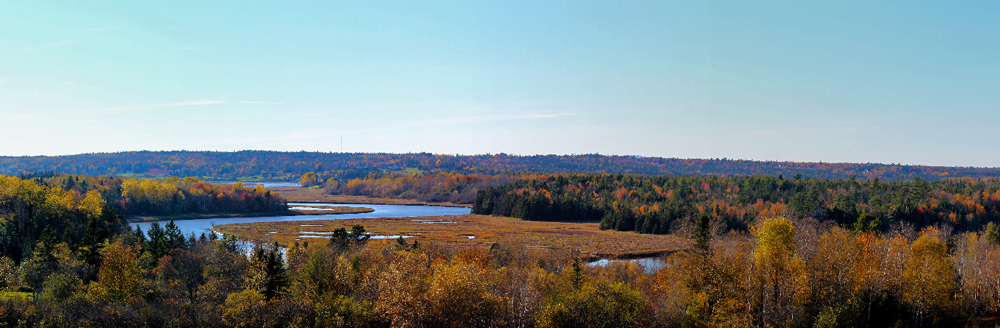 Autumn River View