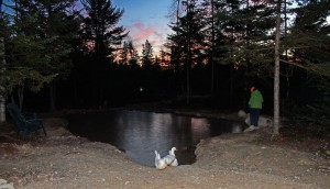 Chipping ice on the duck pond